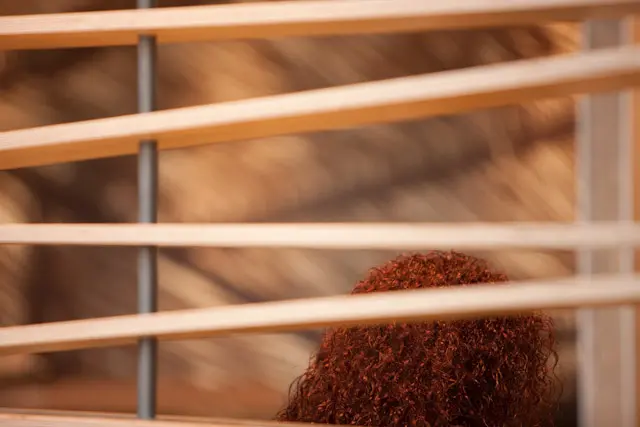 Mc Donalds Antas Restaurant Porto Portugal - Seating Area and Wall Finishes - Interior Design - Ilaria Gatto - architect